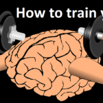 How to train your brain